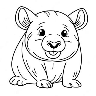 Wombat Pagine Da Colorare